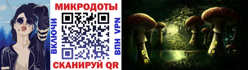 Купить где  Заречный  Псилоцибиновые грибы Psilocybine cubensis 